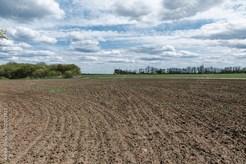 View of a spring plowed field, a blooming tree, and a beautiful sky with clouds