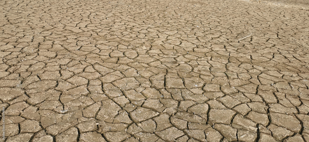 Dry riverbed, with arid and cracked soil because of drought, due to climate change Dry riverbed, with arid and cracked soil because of drought, due to climate change