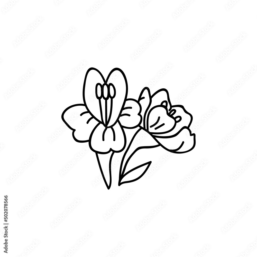 Hand drawn flowers. Doodles vector illustration. Isolated on a white background. Hand drawn flowers. Doodles vector illustration. Isolated on a white background.