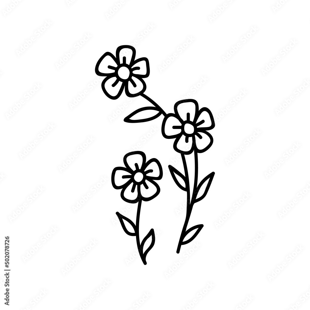 Single hand drawn flower. Vector illustration in doodles style. Isolate on a white background.