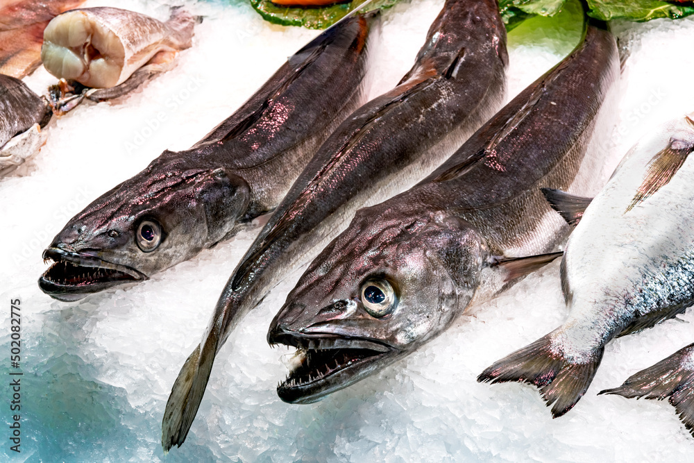 fresh fish on ice fresh fish on ice