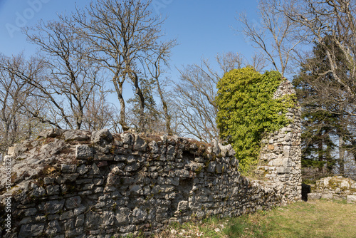 Ruines du château et murailles