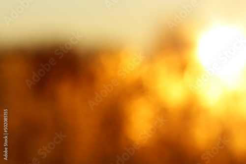 Abstract blurred golden sunset background with bokeh effect