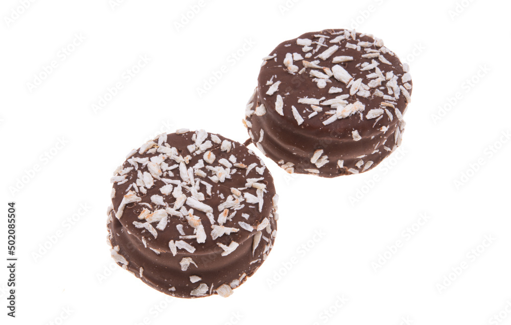 double biscuits in chocolate icing double biscuits in chocolate icing