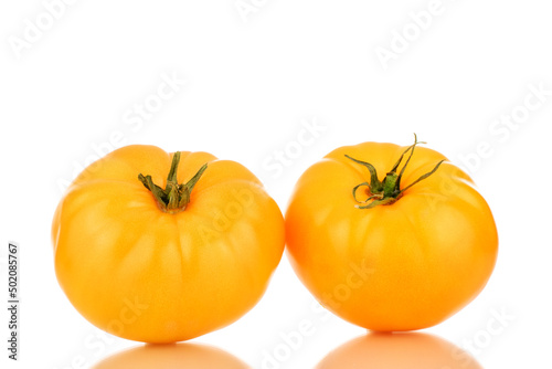 Two juicy organic, yellow tomatoes, close-up, isolated on a white background.