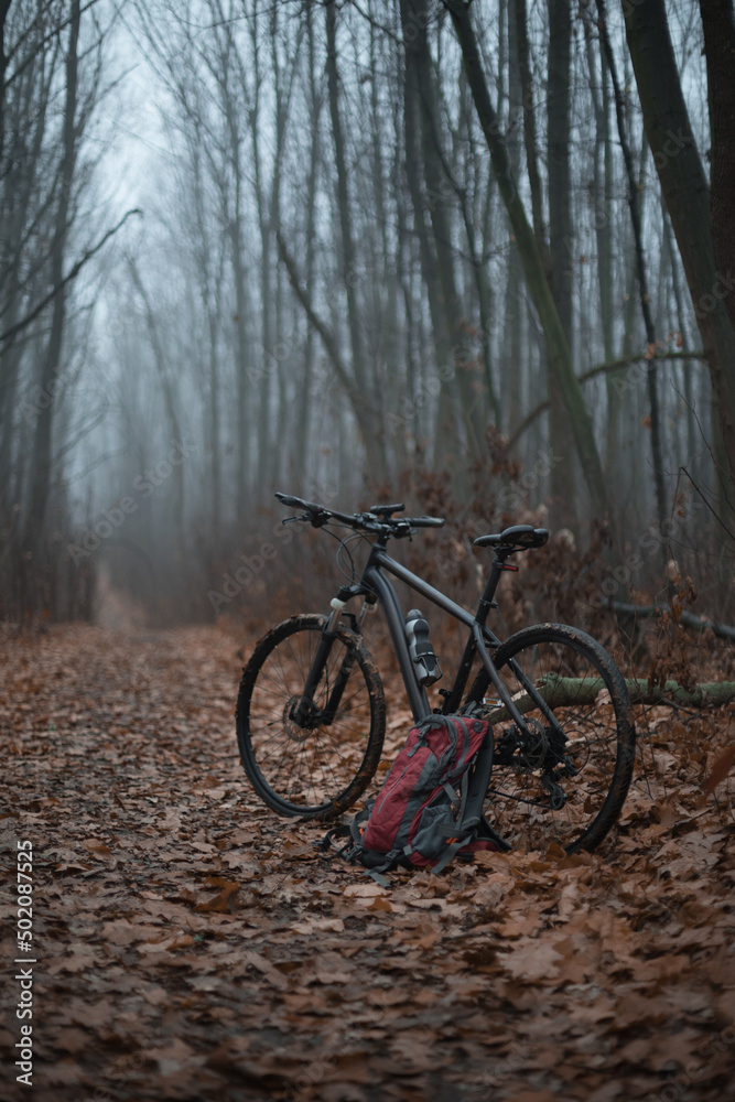 Autumn. Fog in the forest. Bicycle travel. Autumn. Fog in the forest. Bicycle travel.