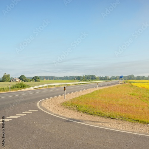 Highway through the blooming rapeseed field and forest at sunrise. Wind turbine generators (farm). Transportation, ecotourism, ecology, renewable energy, technology, infrastructure, power in nature