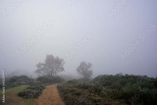 Misty footpath in the countryside