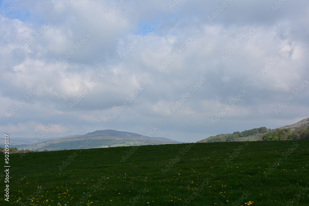 Fototapeta premium Beautiful View of a Rural Field in the Spring