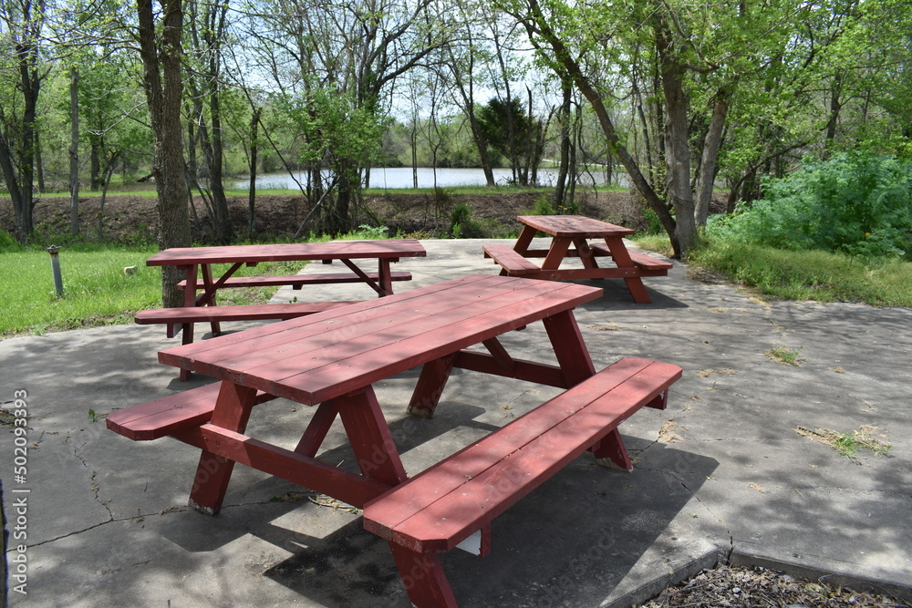 Picnic tables in a Park