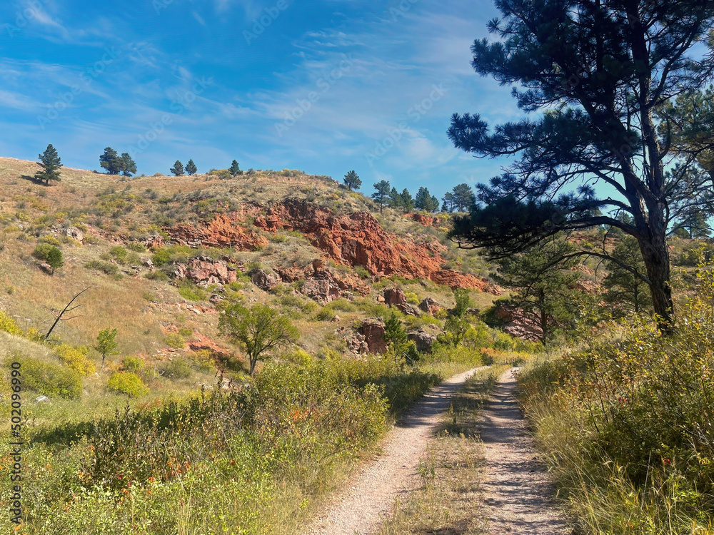 Beneath a blue sky with white clouds, a small dirt road passes through trees and fields of yellow and green in a mountainous section of South Dakota with cliffs of deep red rock.