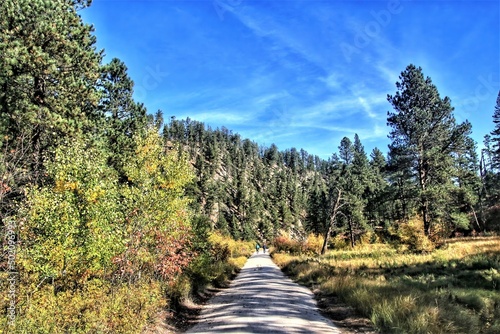 Beneath a blue sky with white clouds on an Autumn day, the George Mickelson State Trail passes through trees and fields of yellow and green in a mountainous section of South Dakota.
