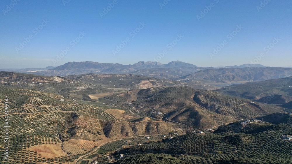 Naklejka premium survol des champs d'oliviers (oliveraies), hacienda et village blanc en Andalousie dans le sud de l'Espagne