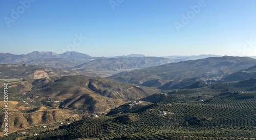 survol des champs d'oliviers (oliveraies), hacienda et village blanc en Andalousie dans le sud de l'Espagne