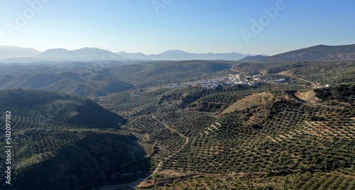 survol des champs d'oliviers (oliveraies), hacienda et village blanc en Andalousie dans le sud de l'Espagne