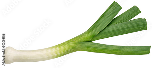 Leek isolated, green onion on white background, full depth of field