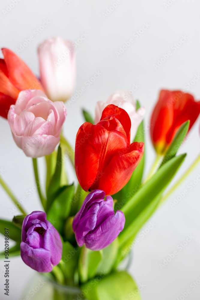 Fototapeta premium Beautiful spring bouquet on a white background