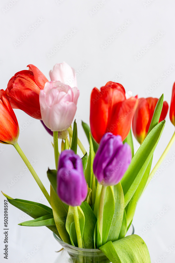 Beautiful spring bouquet on a white background Beautiful spring bouquet on a white background