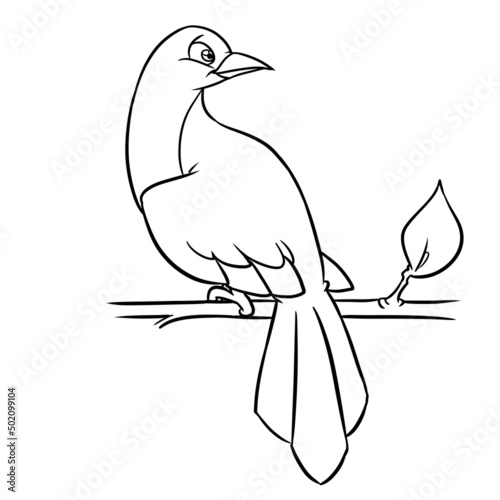 Bird sitting on a branch coloring page cartoon illustration