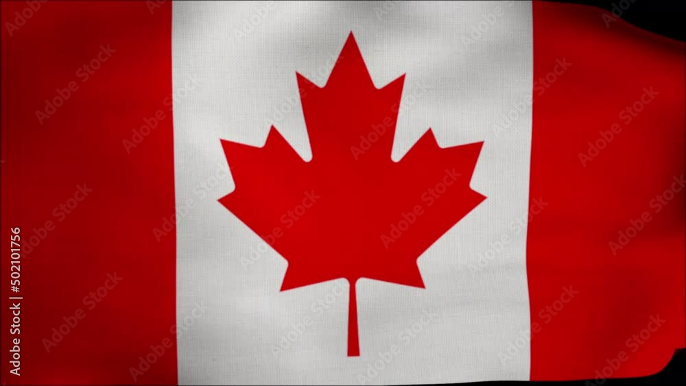 Canada flag. Canada flag waving in the wind. Closeup in 4k of realistic Canadian flag with highly detailed fabric texture. Canada flag. Canada flag waving in the wind. Closeup in 4k of realistic Canadian flag with highly detailed fabric texture.