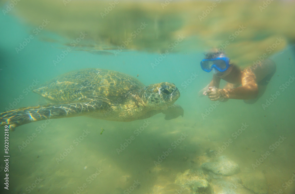 Obraz premium Turtle and boy