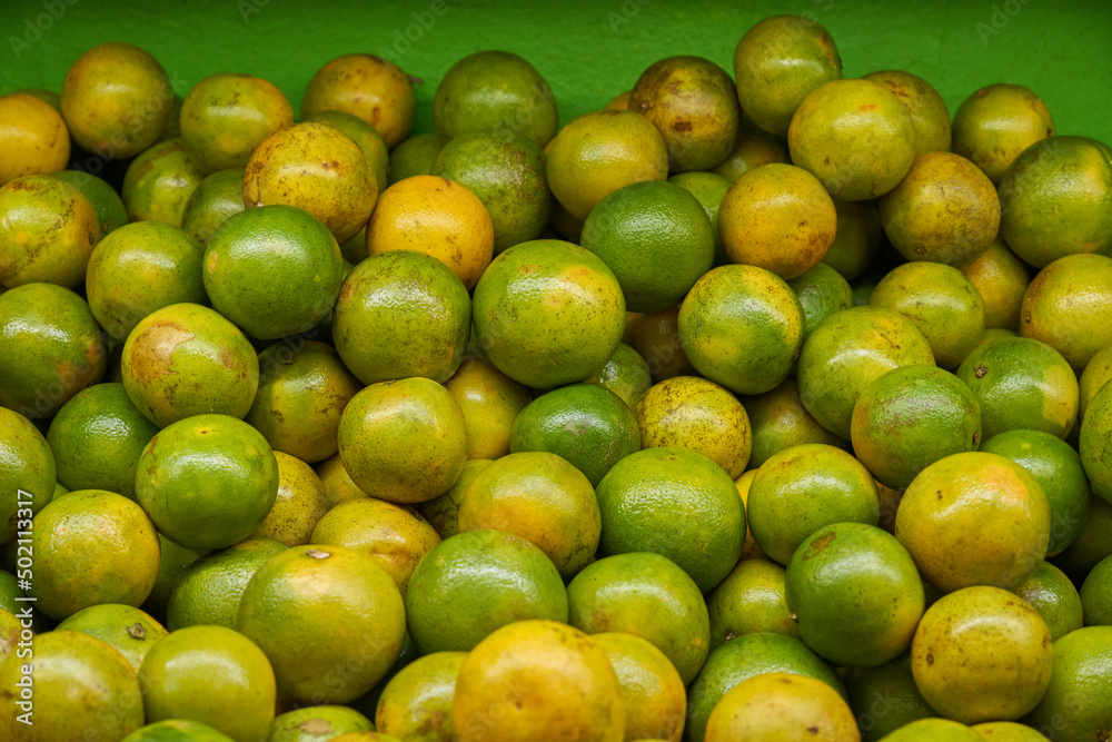 Yellow oranges placed on a shelf for sale within a market