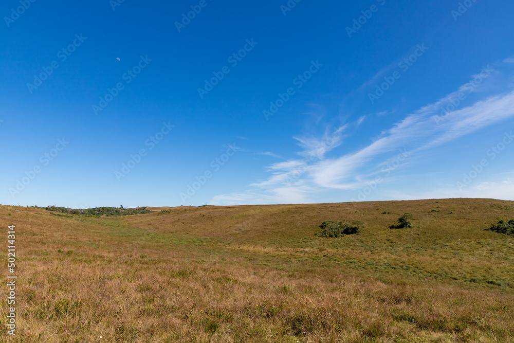 Farm field with blue sky and moon