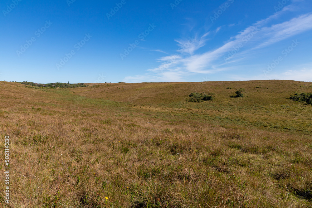 Farm field with blue sky