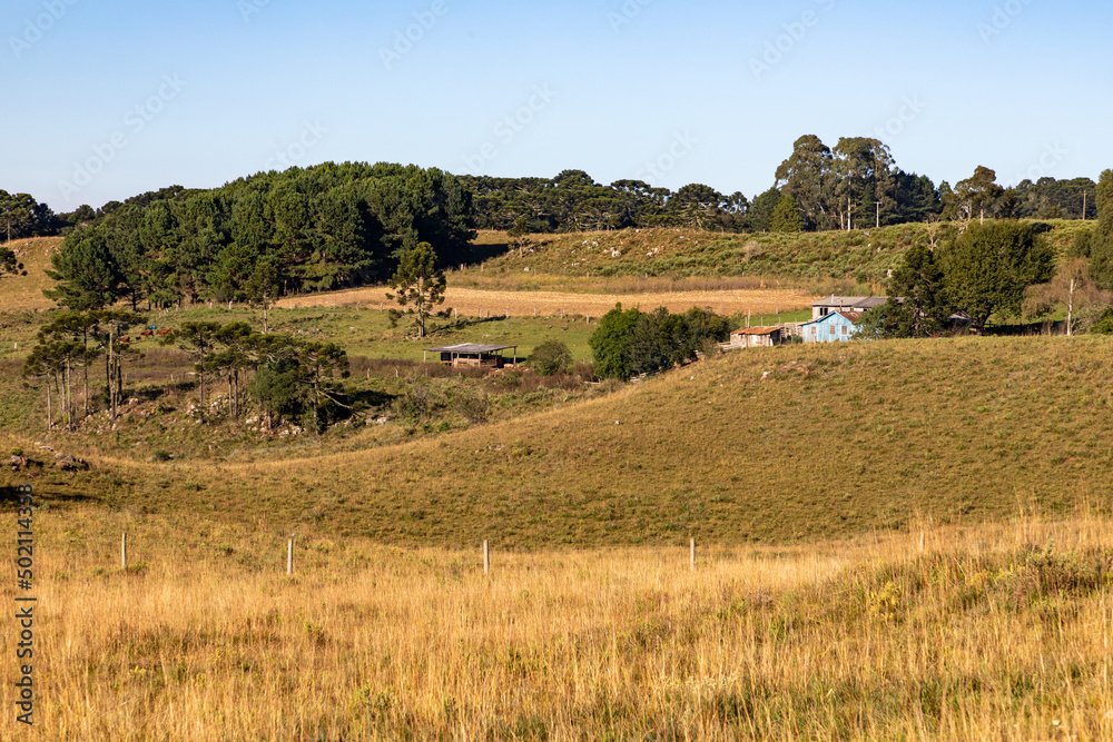 Farm house with trees and field