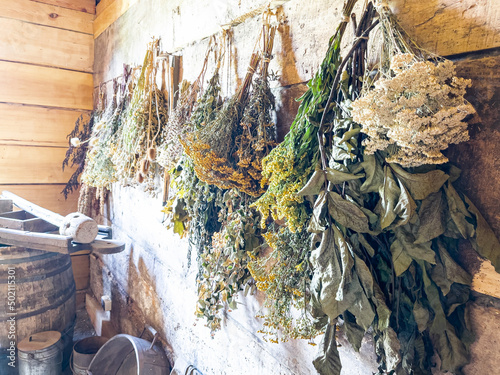 Wiaczemin Polski, Poland - August 12, 2021. Dried herbs in Open-air museum of the Vistula settlement - Skansen Osadnictwa Nadwislanskiego