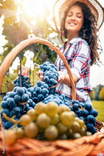 Woman with basket of grapes in vineyard