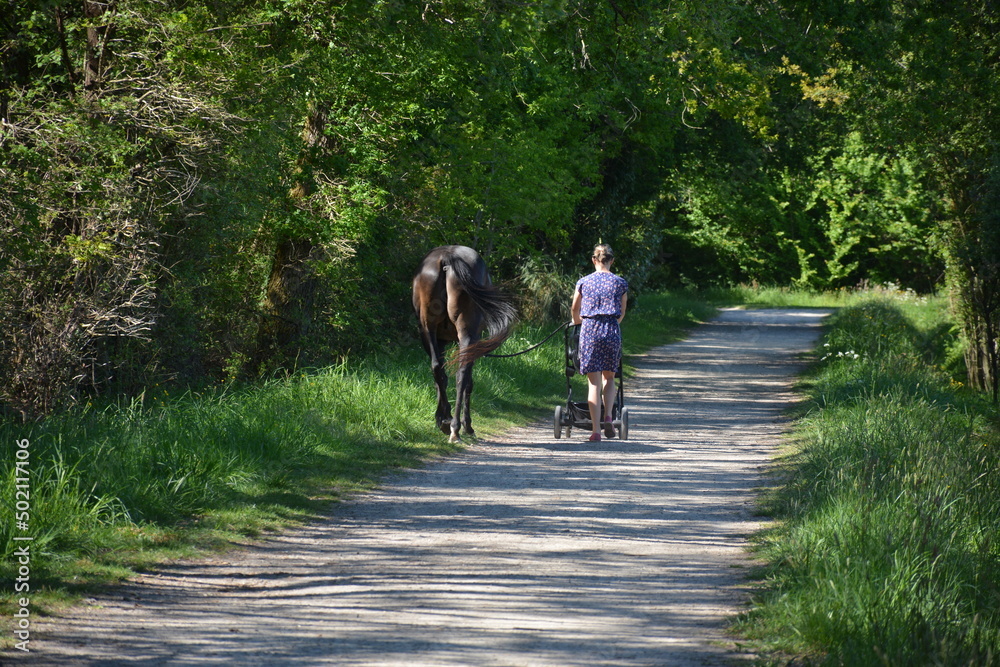 Bouaye - Promenade détente cheval femme et enfant Bouaye - Promenade détente cheval femme et enfant