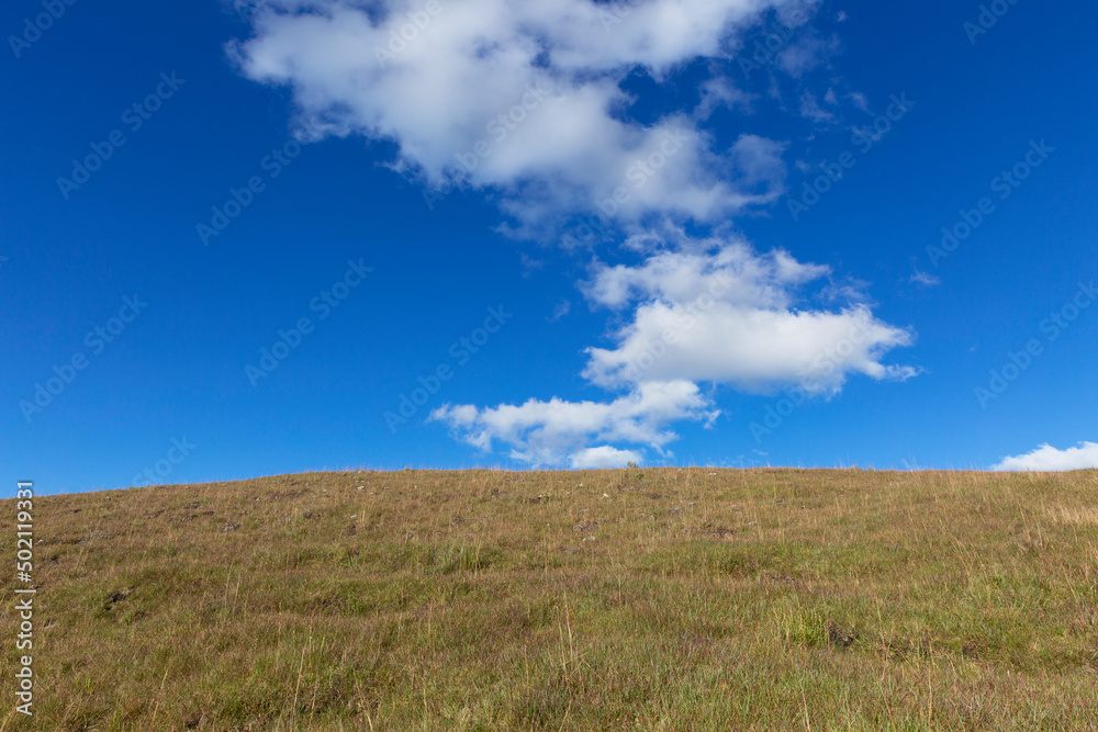 Countryside, pasture for cattle, blue sky with clouds.