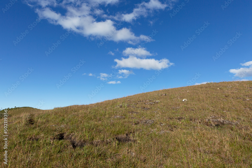 Countryside, pasture for cattle, blue sky with clouds. Countryside, pasture for cattle, blue sky with clouds.