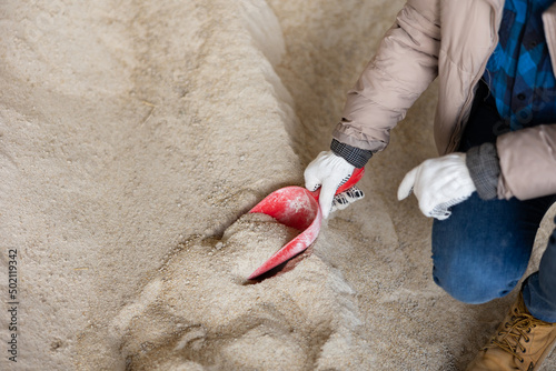 Farmer scooping up maize meal from pile with red scoop in storage area of livestock farm, preparing to feed cattle, cropped image photo