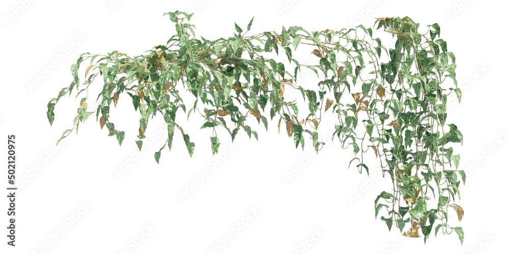 Climbing plants creepers isolated on white background 3d illustration Climbing plants creepers isolated on white background 3d illustration