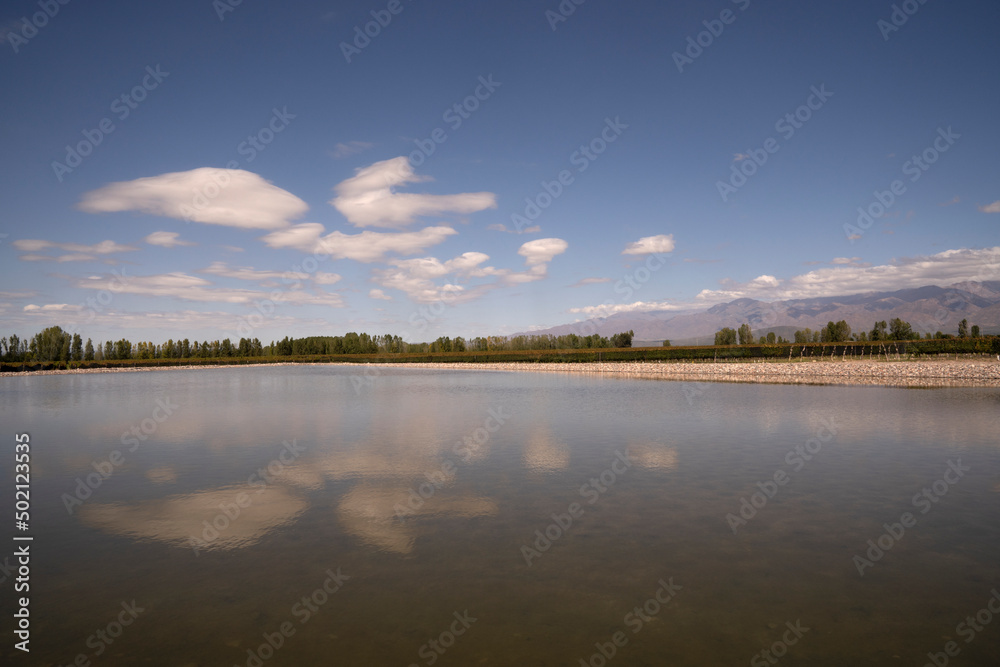 View of the lake, vineyard and mountains in the horizon. Beautiful blue sky with clouds reflection in the water surface.
