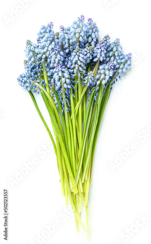 Bouquet of beautiful Muscari flowers isolated on white