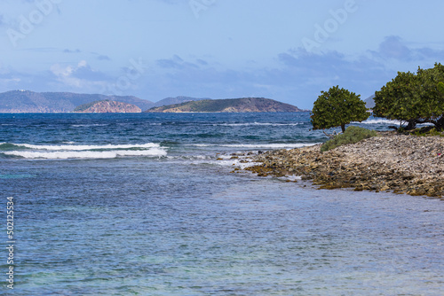 Beautiful landscape view of U.S. Virgin Islands National Park on the island of Saint John during the day.