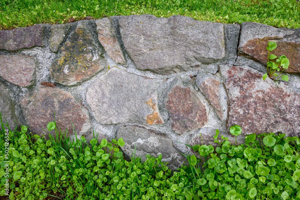 Low rock retaining wall with green plants growing above and below, as a nature background
Low rock retaining wall with green plants growing above and below, as a nature background
