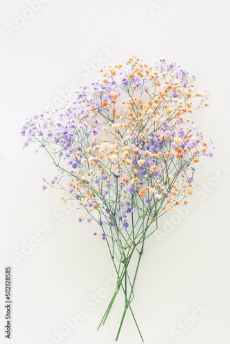 Flowers background.Violet and beige gypsophila flowers or baby's breath flowe...