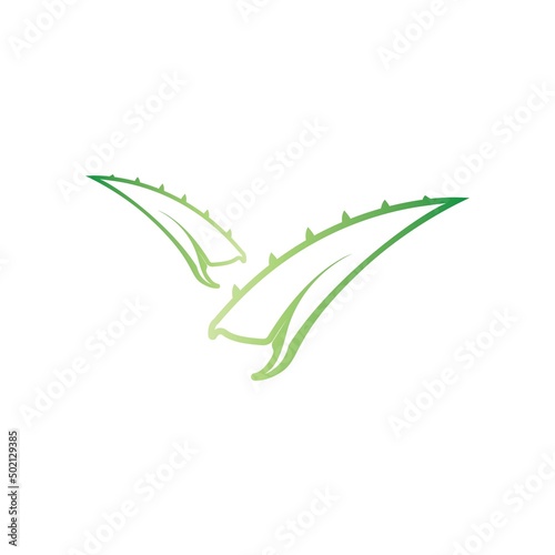 aloe vera logo design icon vector