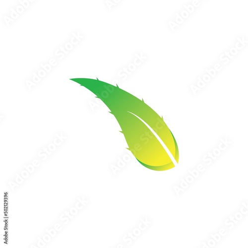 aloe vera logo design icon vector