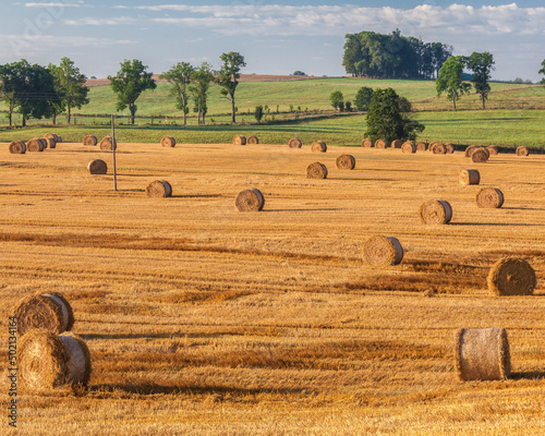 Fototapeta Naklejka Na Ścianę i Meble -  View of the Masurian fields.