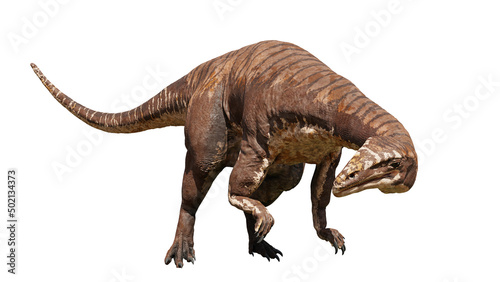 Plateosaurus  dinosaur from 214 to 204 million years ago  isolated on white background