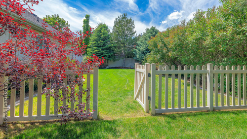 Принти на полотні Panorama Whispy white clouds Backyard with picket fence and gate on a green lawn