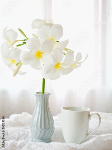 White Frangipani Plumeria flowers bouquet in pottery ceramic vase with white cup of tea ,soft selective focus on the window side and vintage style ,Hawaiian Lei flowers 