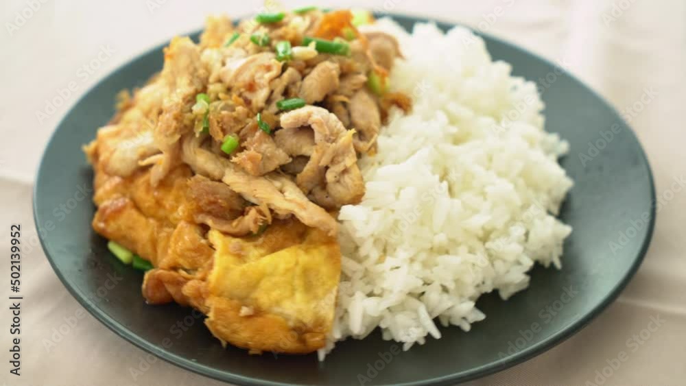 stir-fried pork with garlic and egg topped on rice - Asian food style stir-fried pork with garlic and egg topped on rice - Asian food style