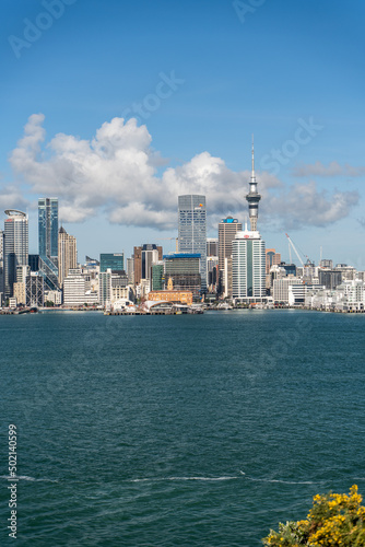 Auckland City Skyline from across the water