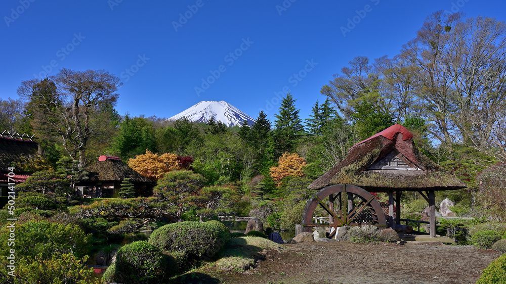 A japanese traditional garden with Mt. Fuji